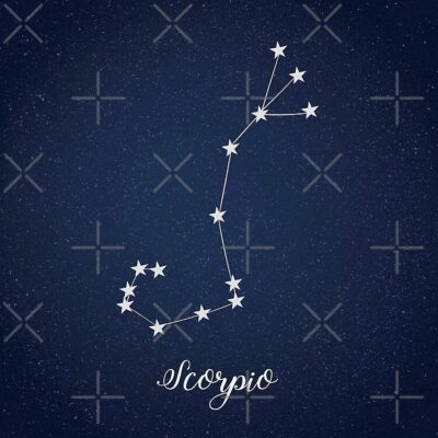 Scorpio Constellation Tote Bag Official Tattoo Gifts Merch